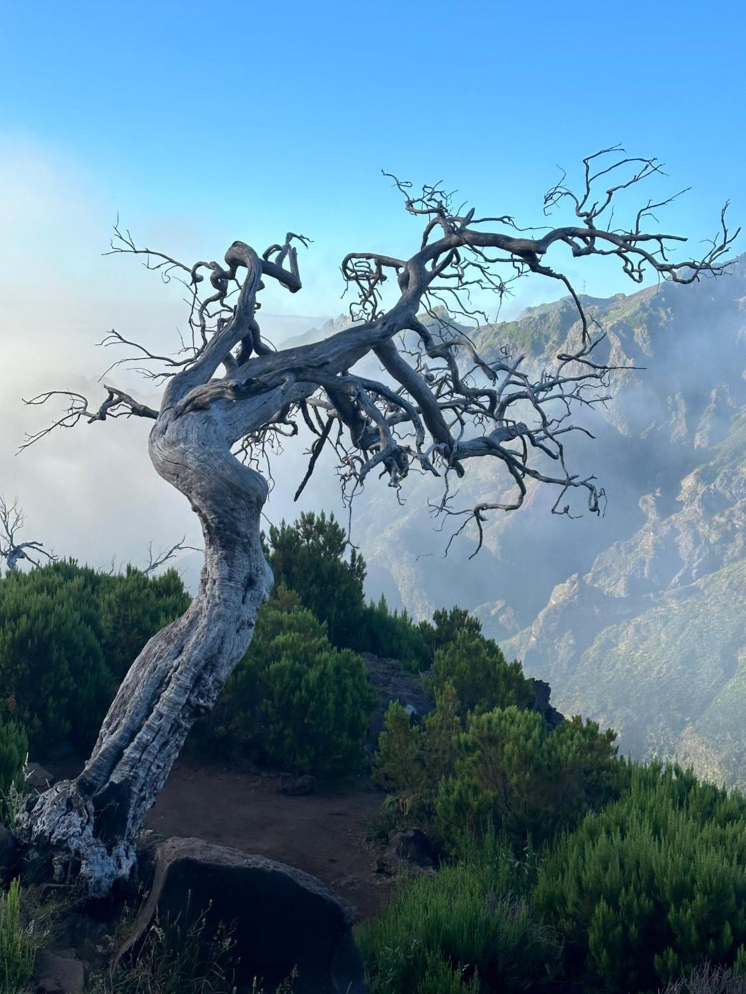 Apartment The Valley House Sao Vicente (Madeira)